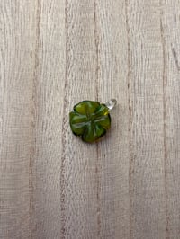 transparent green clover