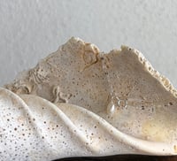 Image 3 of Sea Mist Pearl Bracelet 