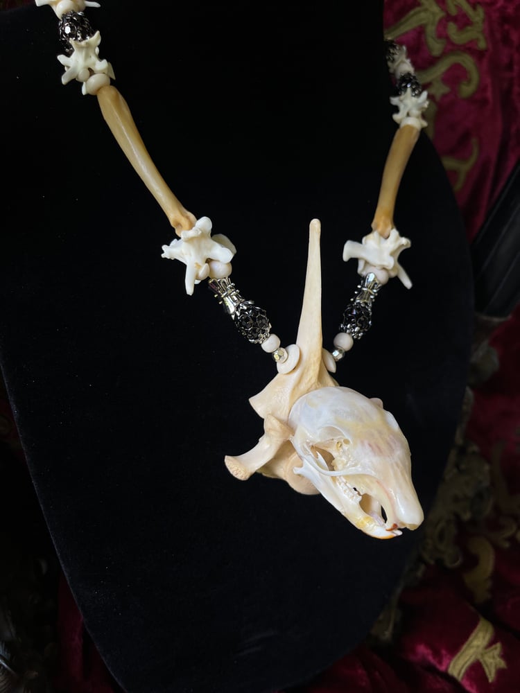 Image of Squirrel Skull - Bone Necklace
