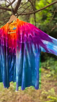 Image 9 of Birds of Paradise