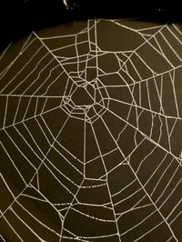 Image 3 of Large  Gothic black ornate framed preserved web