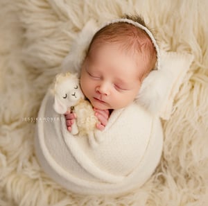 Image of Lamb Lovey