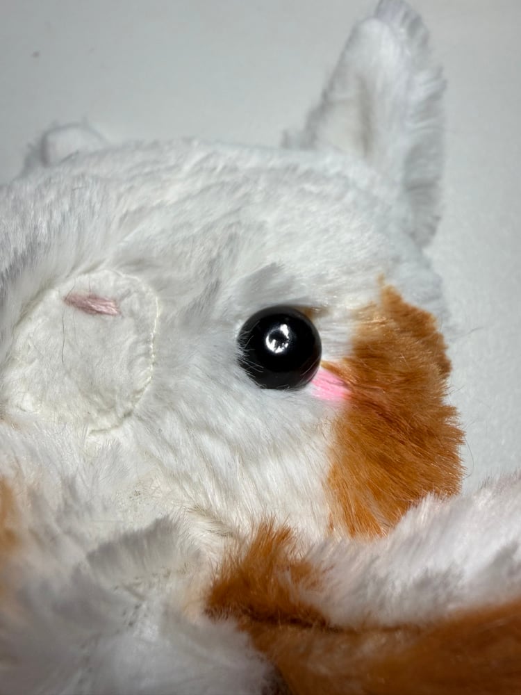Image of Kitty claim (eye)