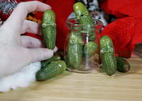 Image 5 of Silly Pickles