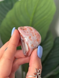 Image 2 of TUMBLED AGATE #20 -MOZAMBIQUE-