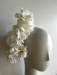 Image 1 of White flower trail.