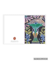 Image 2 of FLA Native Birds No. 2  Cards | set of 5