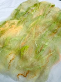 Image 1 of Tropical Batt #1