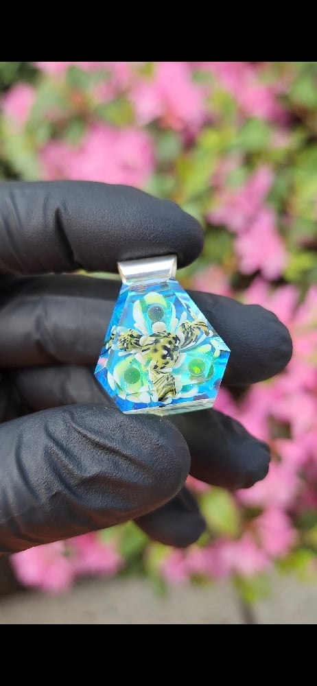 Image of Spring bloom