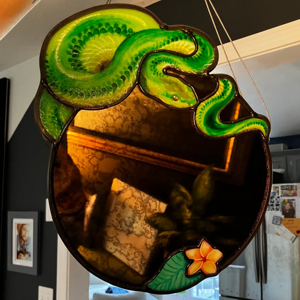 Image of Plumeria & Python Mirror