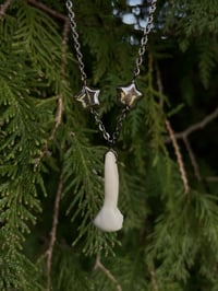 Image 1 of Coyote Tooth Necklace