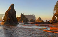 Ruby Beach: Initial Booking Fee