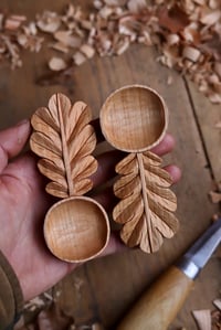 Image 6 of Commission completion 