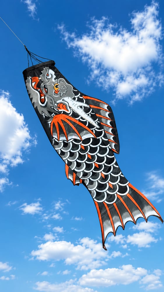 Image of KOINOBORI