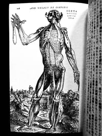 Image 21 of SALE2 - Skin To Skin 