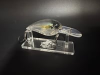 Image 2 of Warts                   4 patterns available 