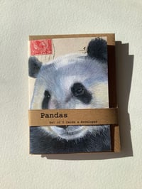 Image 1 of Pandas