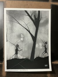 Image 2 of Transcendent guidance