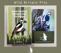 Great Spotted Woodpecker - #6 - Wild Britain Series