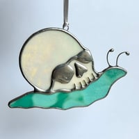 Image 2 of Skull Snails