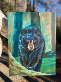 Image 1 of Black Bear in the Woods