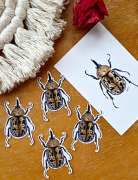Image 3 of Hercules Beetle Sticker