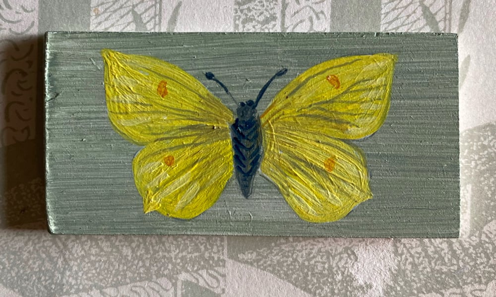 Image of Miniature Butterfly (F)