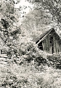 Image 1 of The Prisoner