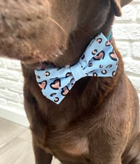 Image 5 of Wild at Heart, Valentine Animal print Bow Ties / Sailor Bows