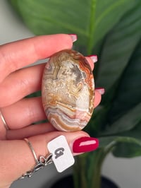 Image 15 of CHOOSE YOUR OWN MEXICAN LACE AGATE PALMSTONES 
