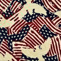 Image 1 of American - We The People