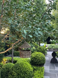 Image 4 of Rattan Birdhouse 