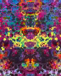 Image 5 of Large