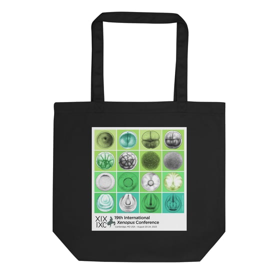 Image of XIXIXC Dev Grid Eco Tote Bag
