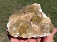 Image 6 of Yellow Cubic Fluorite & Barite Specimen #2508