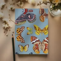 Image 2 of Moths & Butterflies Notebook