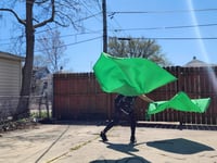 Image 1 of Priesthood worship flags - Praise(green) Adult