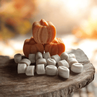 **DISCONTINUING** Fall Mix Wax Melts