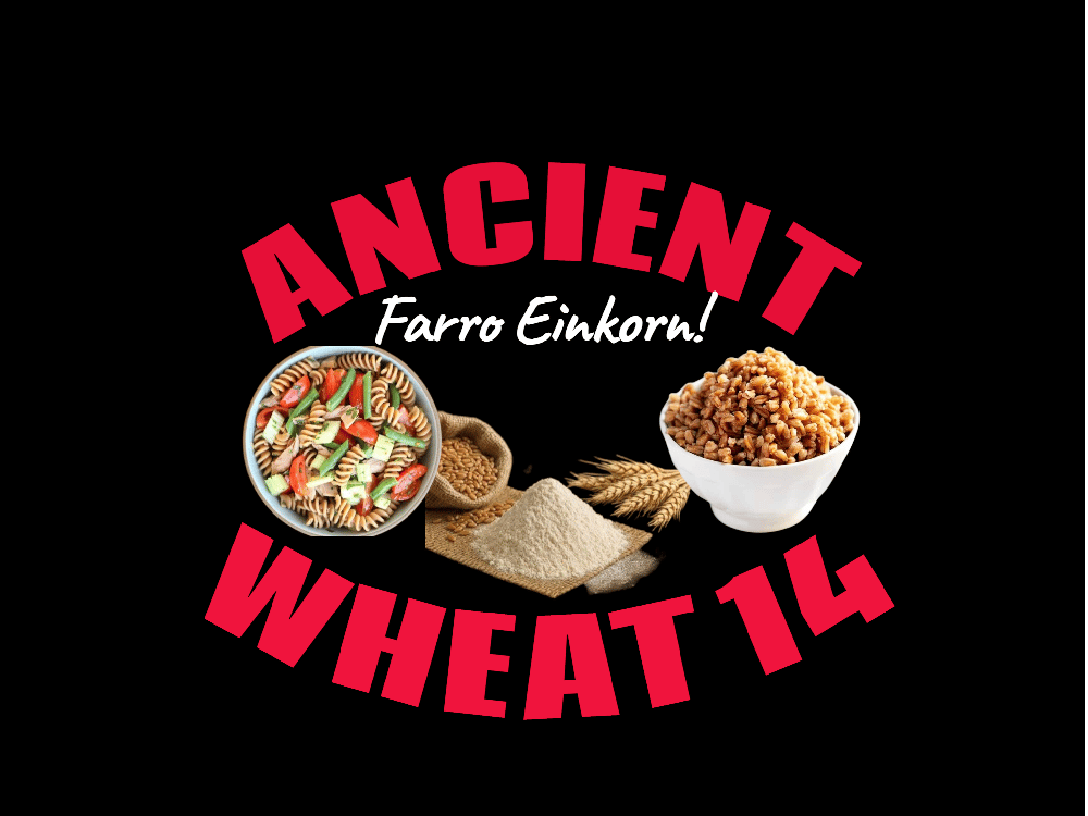 EINKORN. ORIGINAL WHEAT-14 Ancient Wheat Berries/Flour/Pasta. Eyes-Heart-Kidneys-Bones