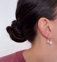 Image 2 of Créole Energie LA SAGESSE