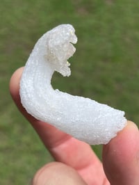 Image 15 of Ram’s Horn Selenite, Gypsum Specimen | Guizhou China #3050