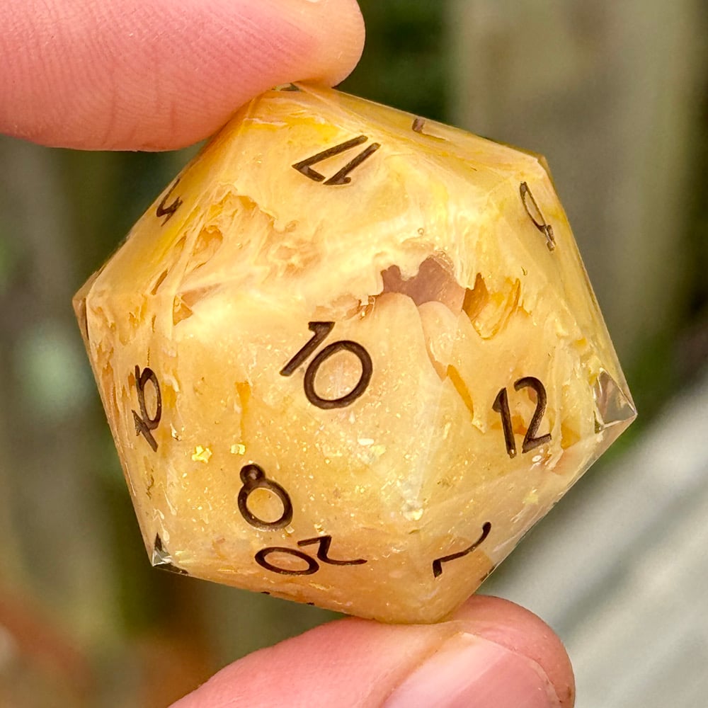 Chocobo Canyon š„šŖ¶ | CHONK