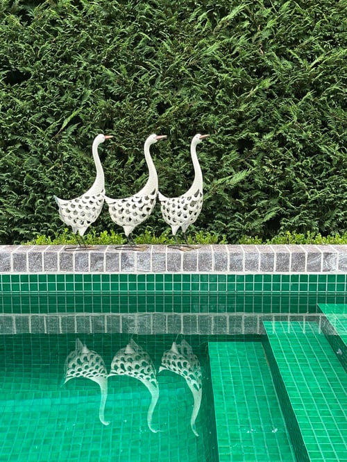 Image of Garden Duck