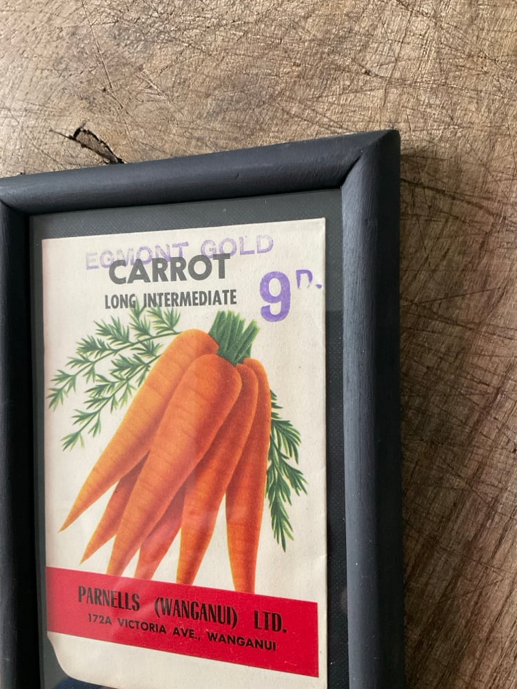 Image of Carrot 