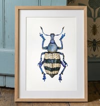 Image 2 of Weevil Beetle Watercolor Illustration PRINT 