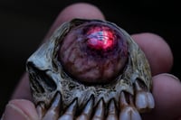 Image 4 of Undead Gaze Phone grip, Pop socket