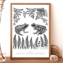 Image 4 of Flora & Fauna prints