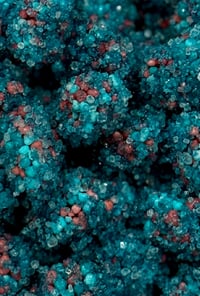 Extreme Sour Very Berry Nerd Clusters 