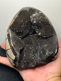 Image 1 of Septarian Nodule Polished Freeform | Madagascar #2897