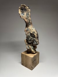 Image 3 of “Leroy”